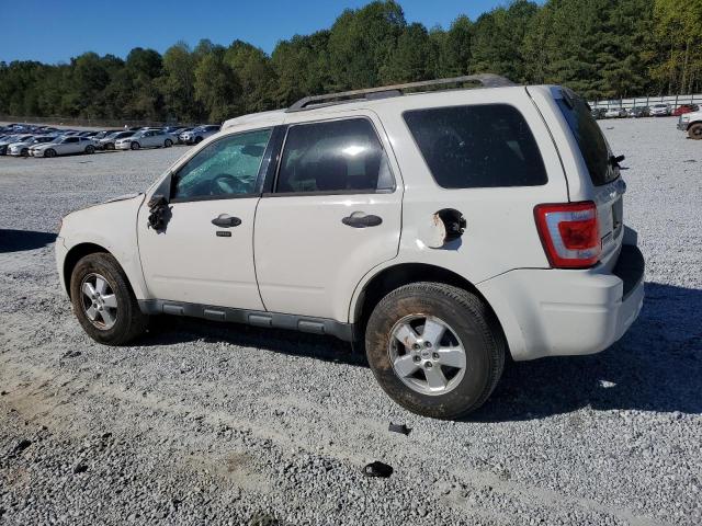 2010 FORD ESCAPE XLT