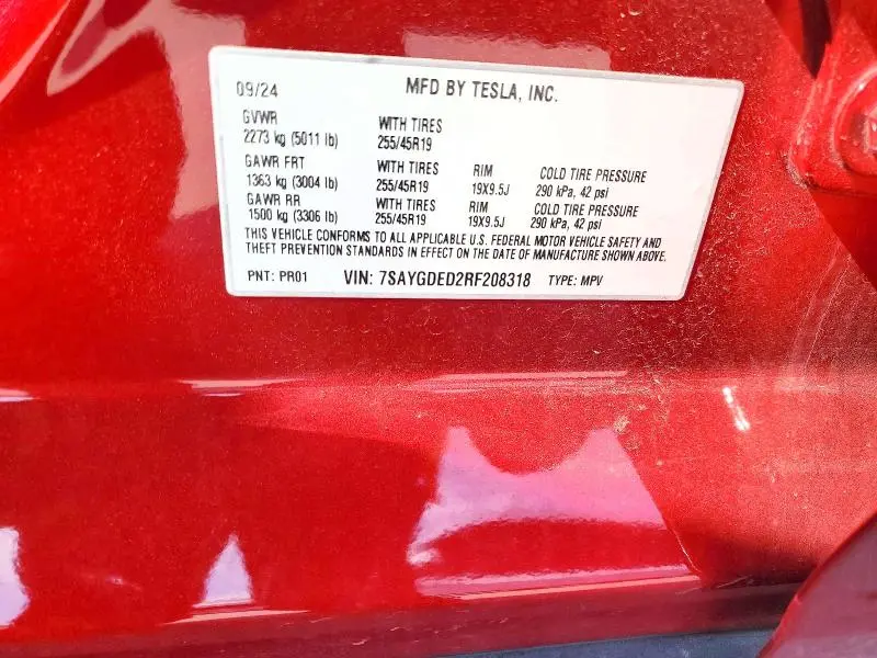 2024 TESLA MODEL Y   