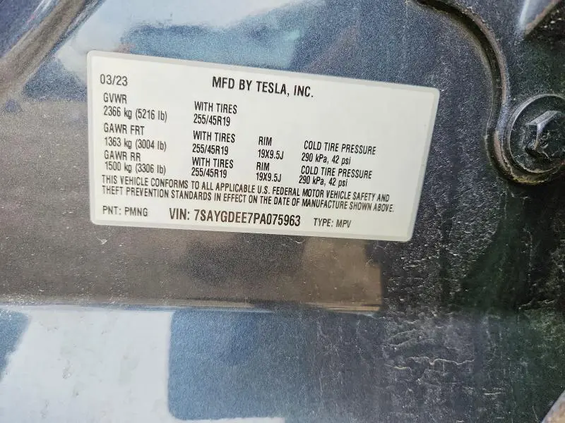 2023 TESLA MODEL Y   