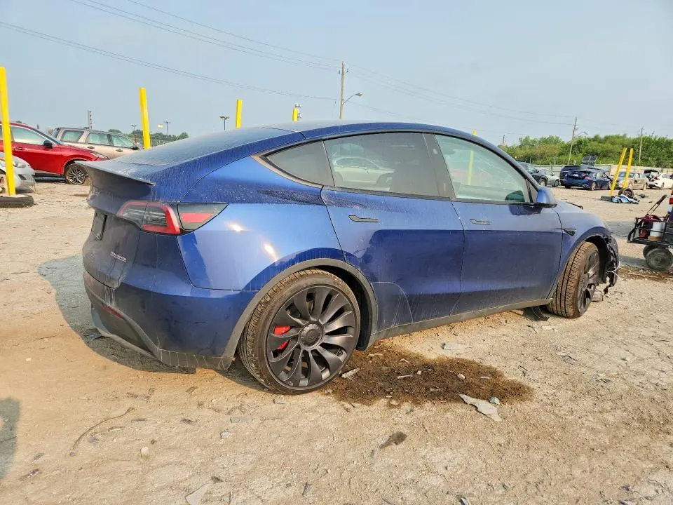 2024 TESLA MODEL Y   
