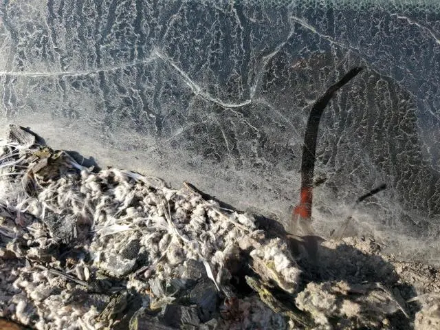 2012 HONDA RIDGELINE RTL  