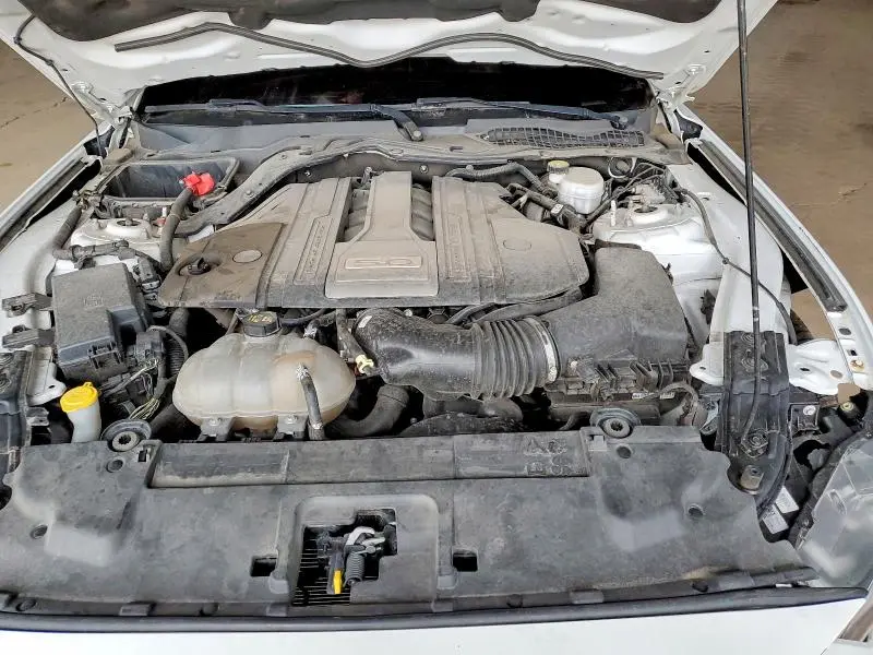 2019 FORD MUSTANG GT  