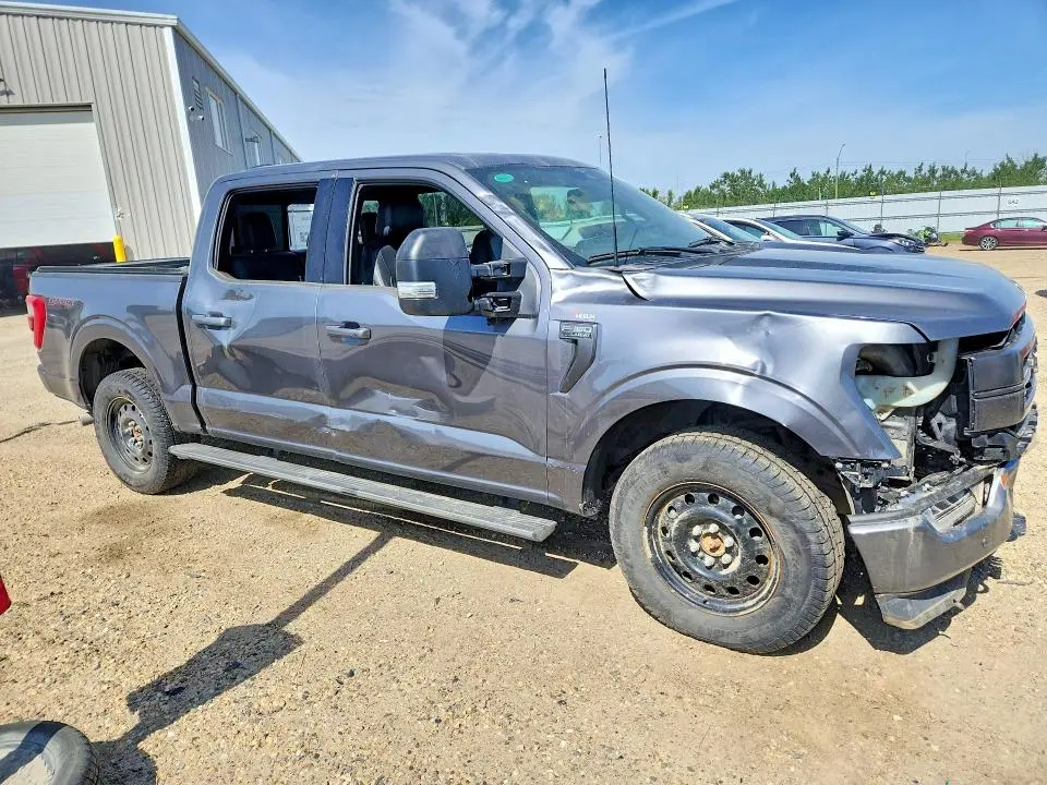 2023 FORD F150 SUPERCREW  