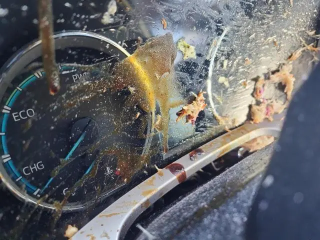 2018 TOYOTA RAV4 HV LIMITED  