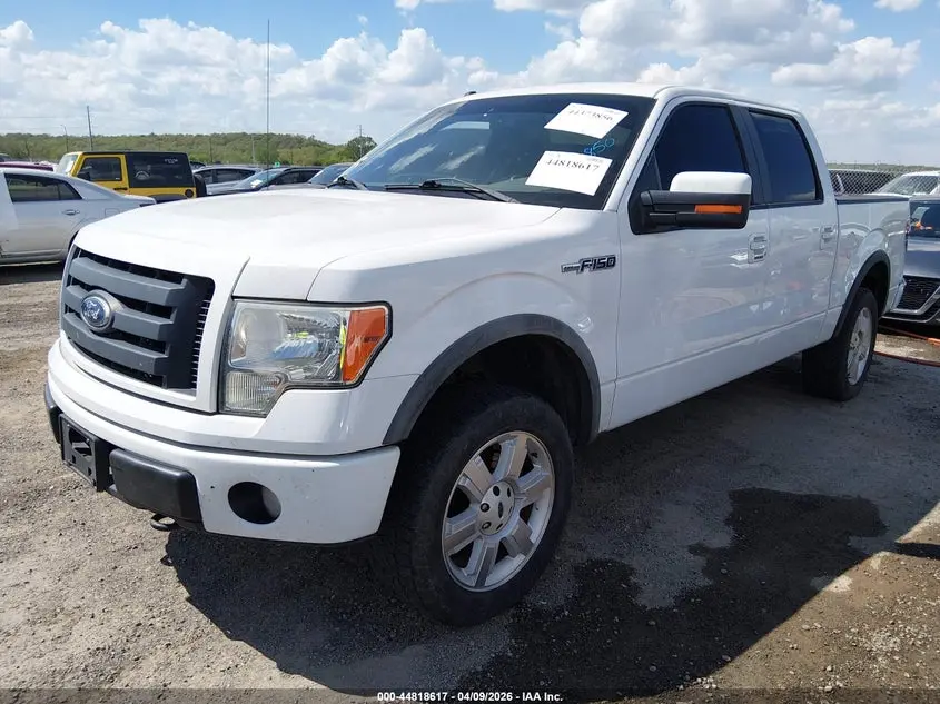 2010 FORD F-150 FX4/HARLEY-DAVIDSON/KING RANCH/LARIAT/PLATINUM/XL/XLT