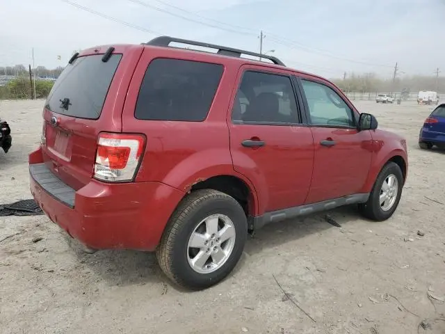 2010 FORD ESCAPE XLT