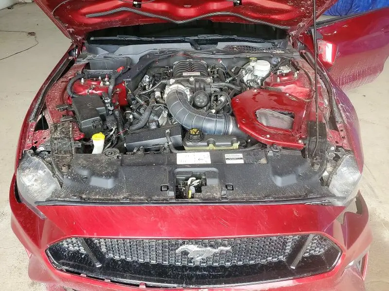 2019 FORD MUSTANG GT  