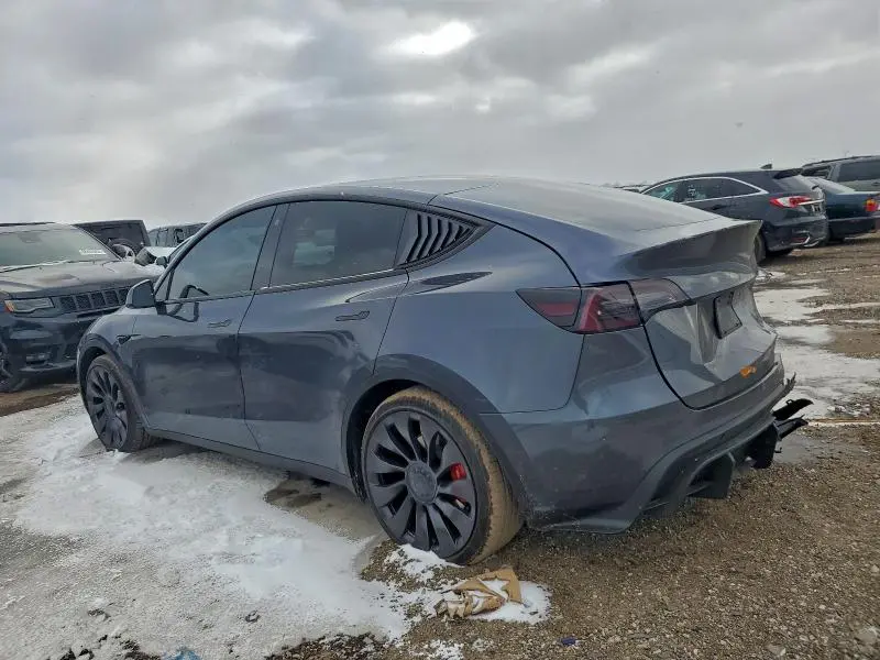 2023 TESLA MODEL Y   