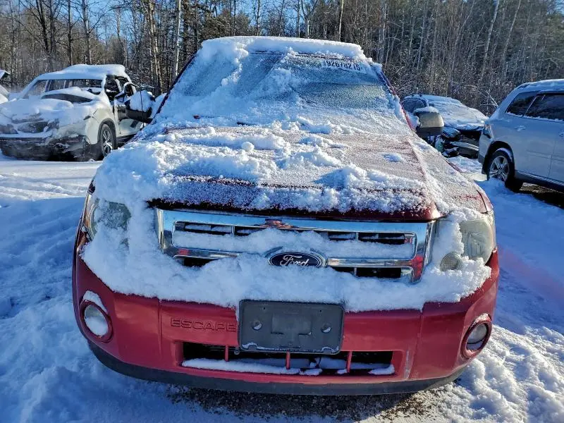 2011 FORD ESCAPE XLT  