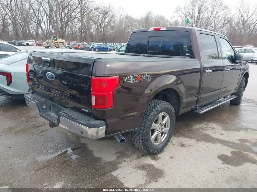 2019 FORD F-150 XLT