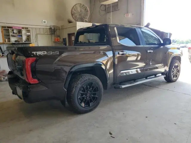 2024 TOYOTA TUNDRA CREWMAX PLATINUM  