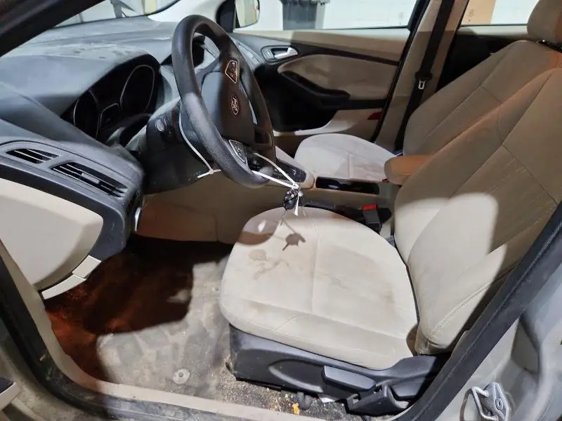 2015 FORD FOCUS SE  