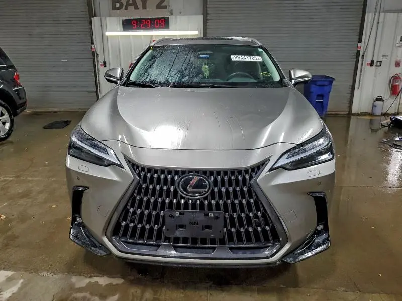 2024 LEXUS NX 350 LUXURY  