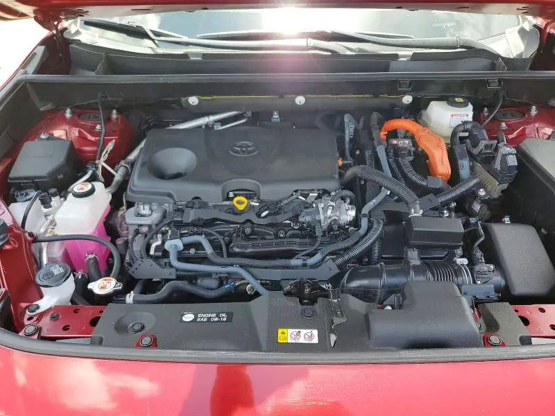 2023 TOYOTA RAV4 LE  