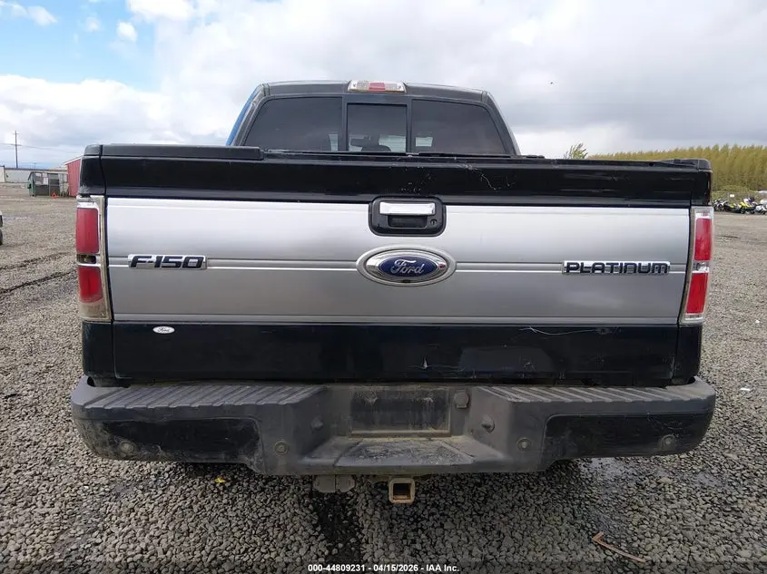 2013 FORD F-150 PLATINUM