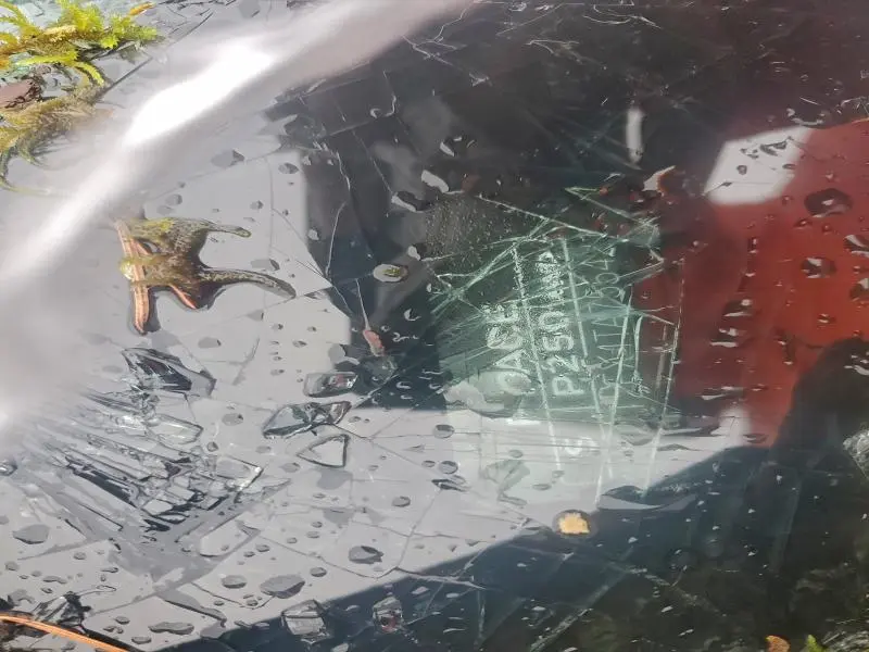 2026 JAGUAR F-PACE R-DYNAMIC S  