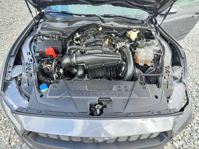 2025 FORD MUSTANG   