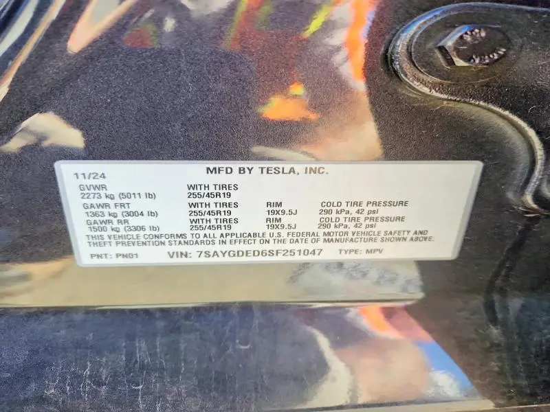 2025 TESLA MODEL Y   