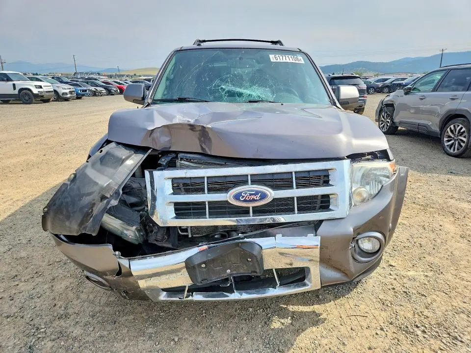 2010 FORD ESCAPE LIMITED  