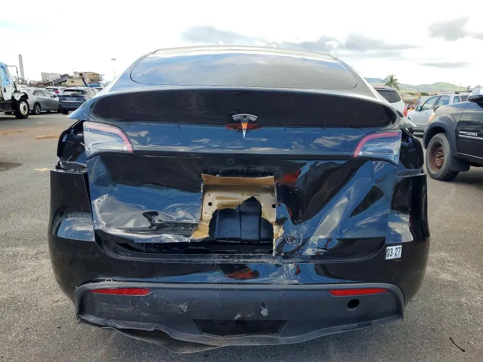 2025 TESLA MODEL Y   
