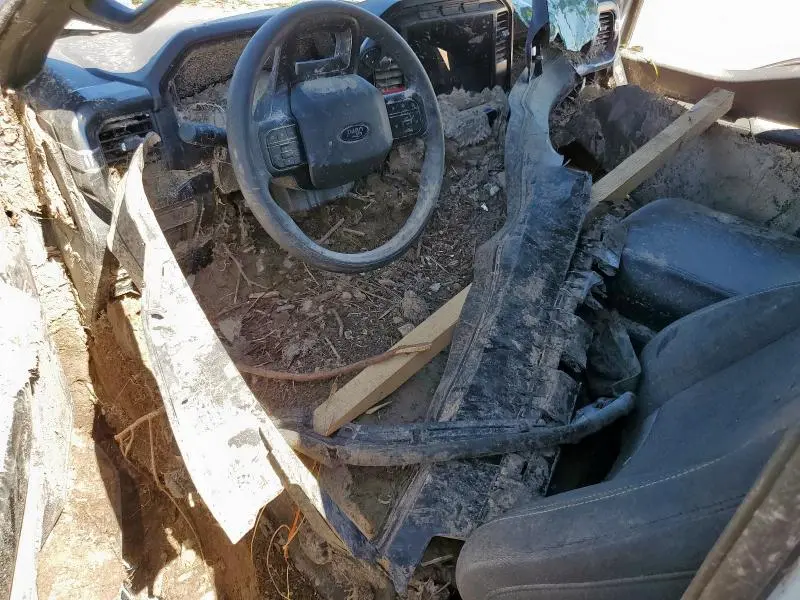 2024 FORD F150 STX  