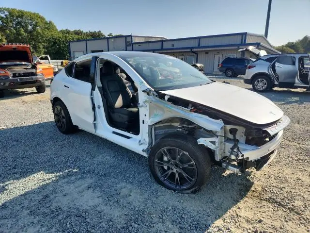 2025 TESLA MODEL Y   