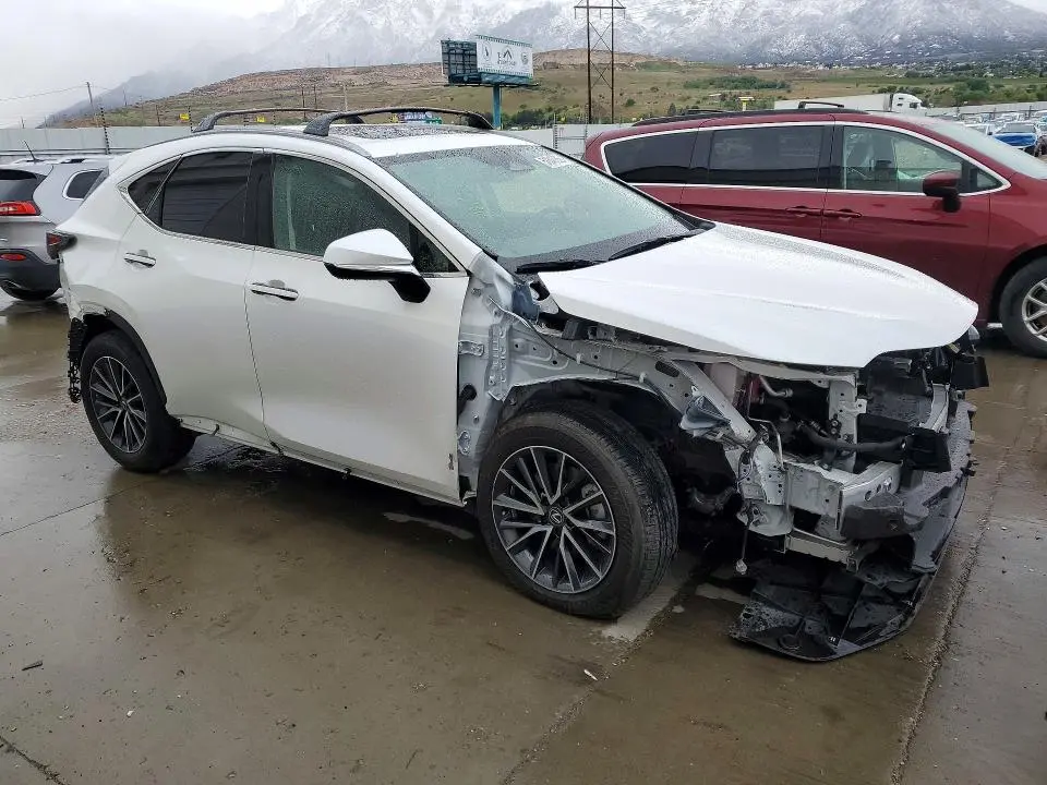 2024 LEXUS NX 350H PREMIUM  