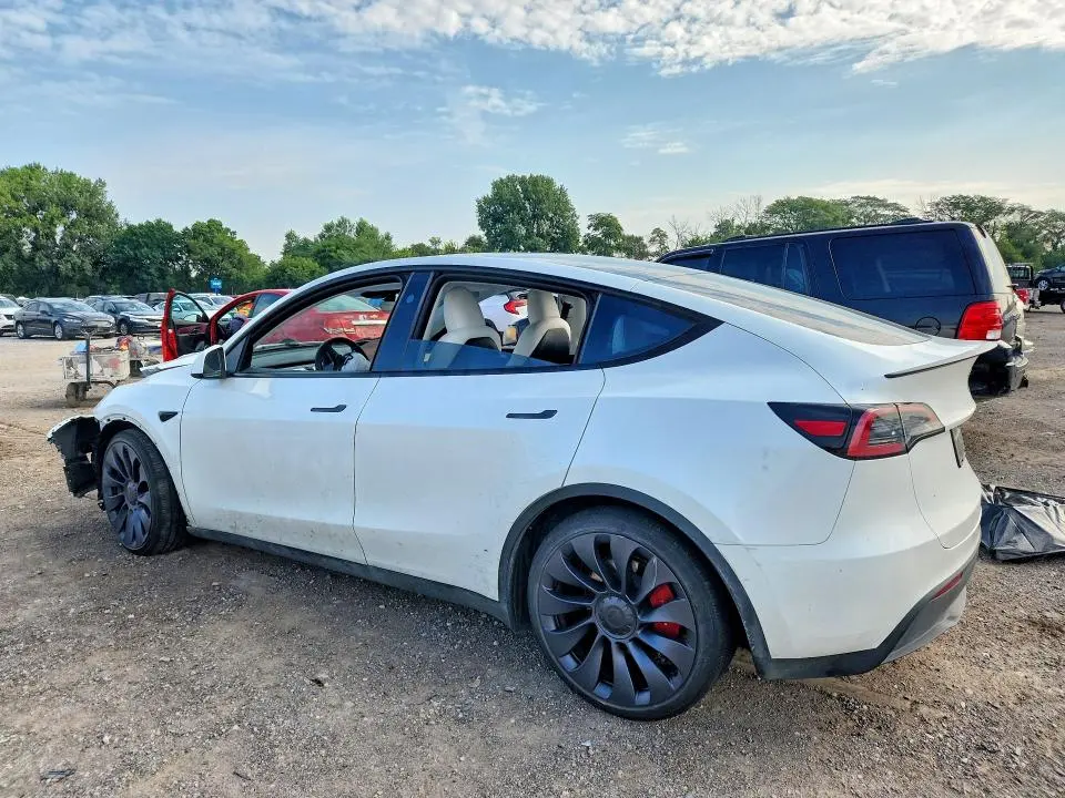 2024 TESLA MODEL Y   