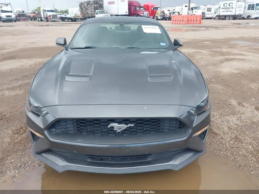 2019 FORD MUSTANG ECOBOOST