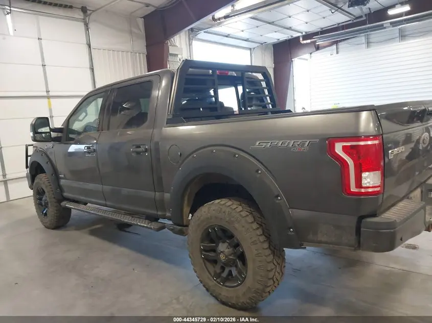 2015 FORD F-150 XLT