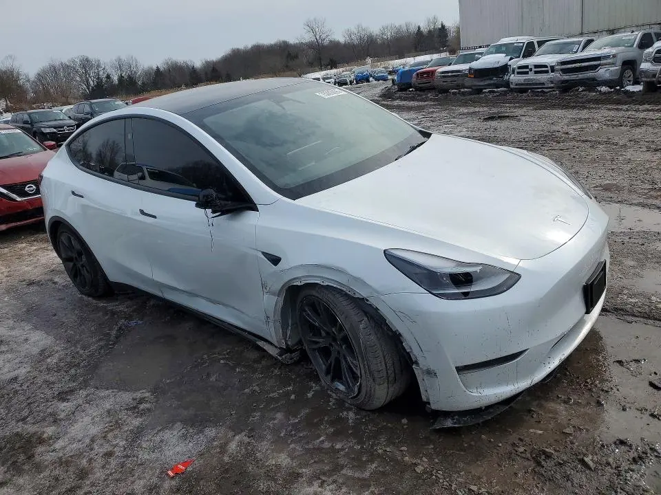 2025 TESLA MODEL Y   