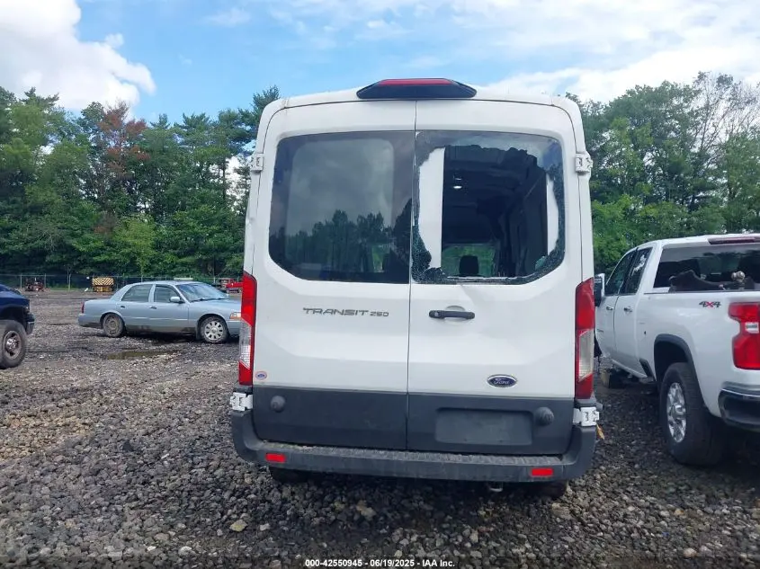 2019 FORD TRANSIT-250  
