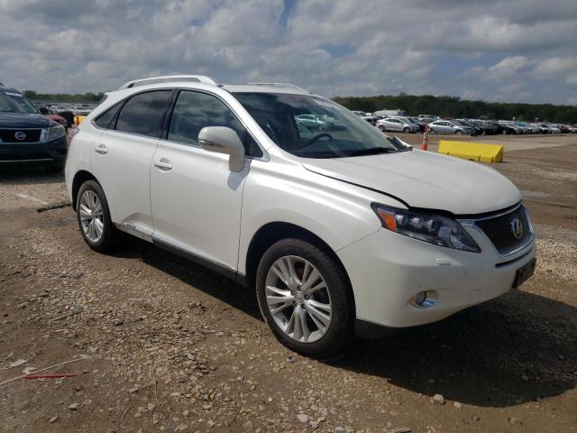 2010 LEXUS RX 450