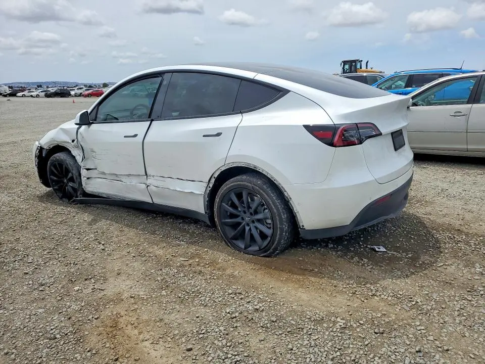 2021 TESLA MODEL Y   