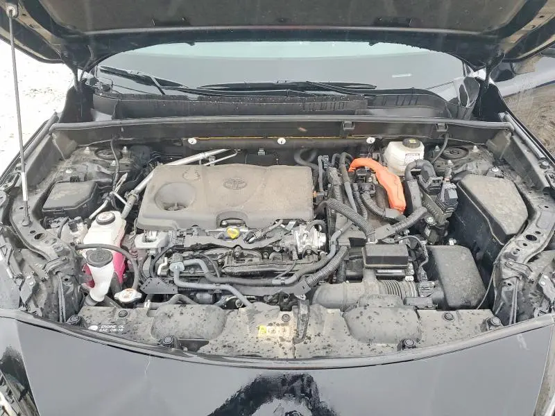 2023 TOYOTA VENZA XLE  