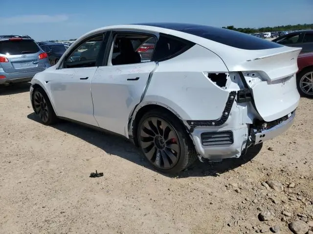 2024 TESLA MODEL Y 