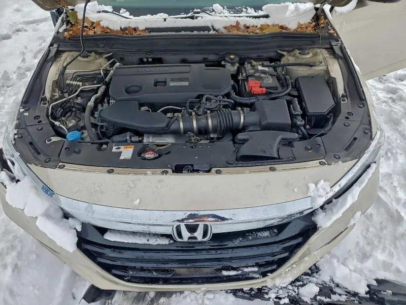 2019 HONDA ACCORD TOURING  