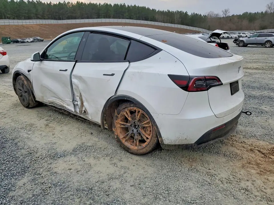 2024 TESLA MODEL Y   