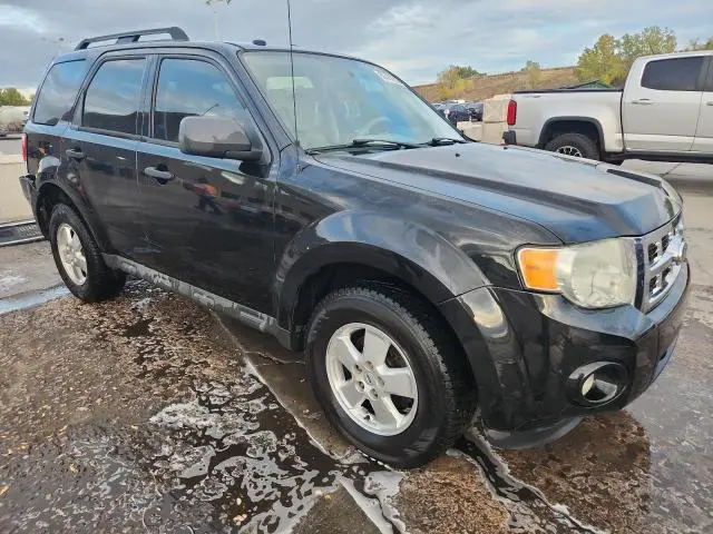 2011 FORD ESCAPE XLT  