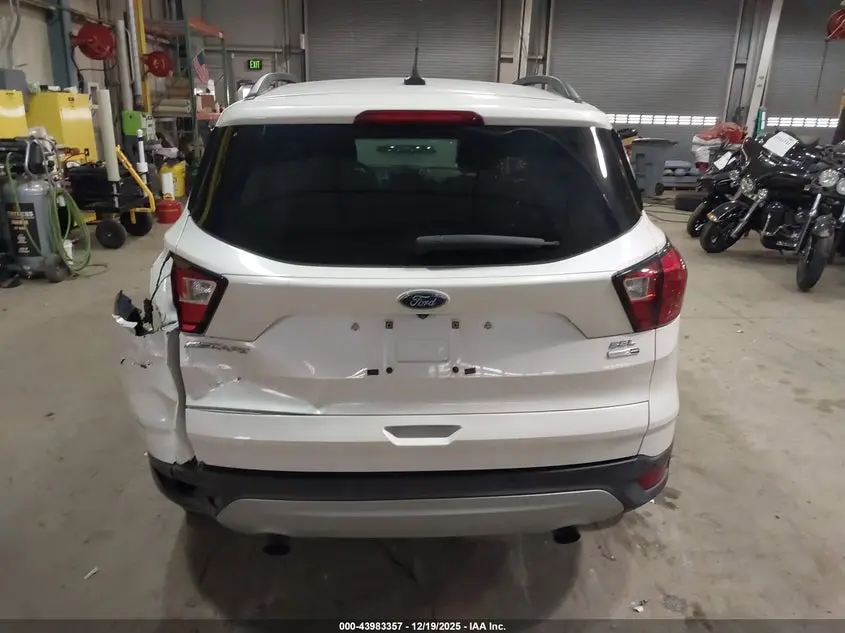 2019 FORD ESCAPE SEL
