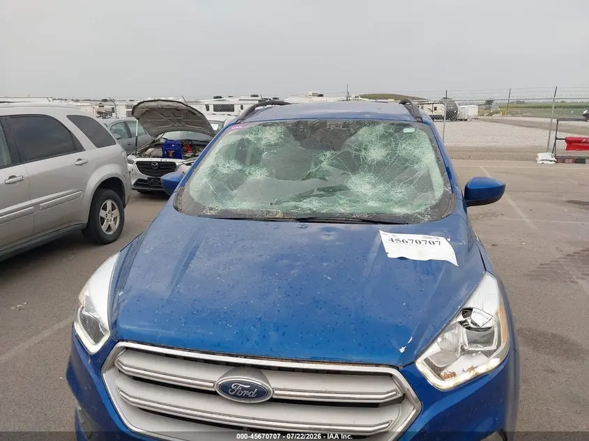 2019 FORD ESCAPE SEL
