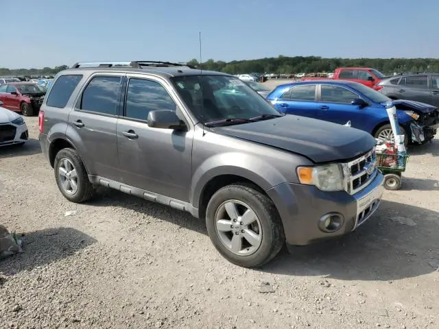 2010 FORD ESCAPE LIMITED  