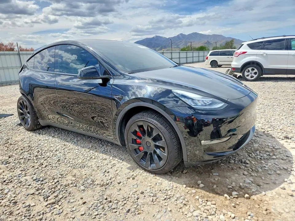 2021 TESLA MODEL Y   