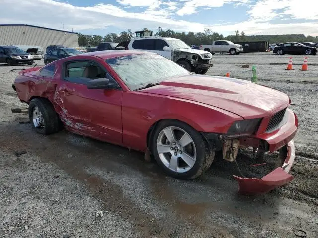 2010 FORD MUSTANG