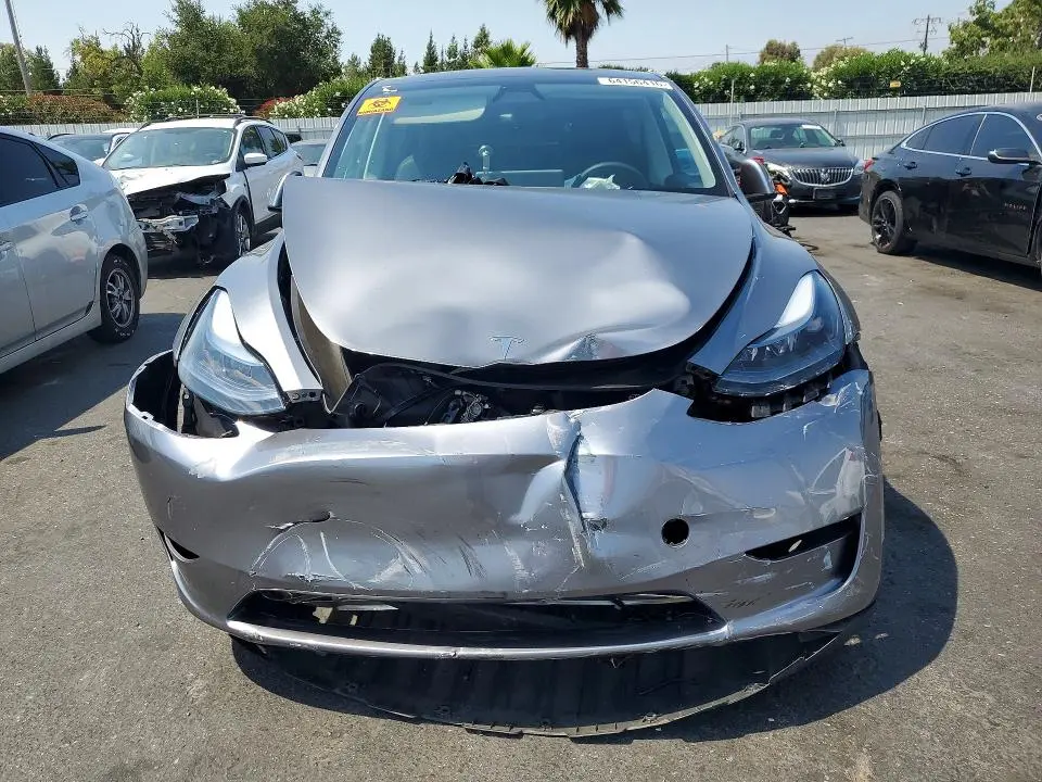 2025 TESLA MODEL Y   