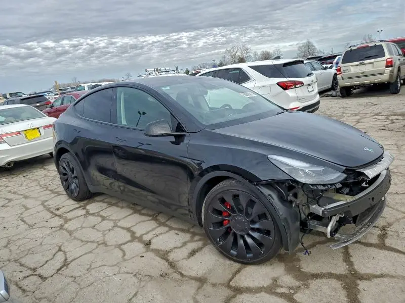 2025 TESLA MODEL Y   