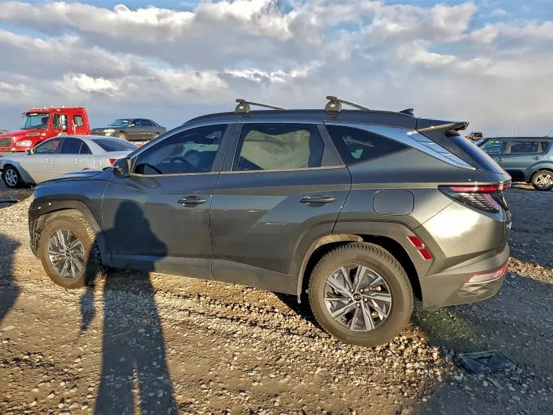 2022 HYUNDAI TUCSON BLUE  