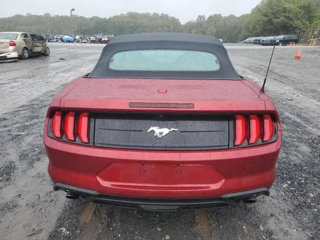 2019 FORD MUSTANG   