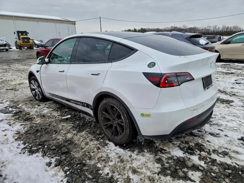 2021 TESLA MODEL Y   