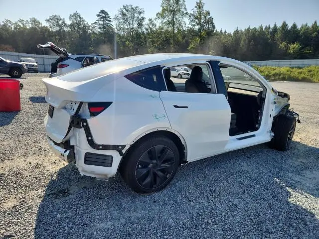 2025 TESLA MODEL Y   